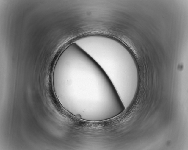 X0000099930491200805231002