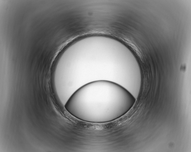 X0000099930492200805231002