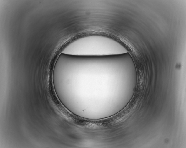 X0000099930494200805231002