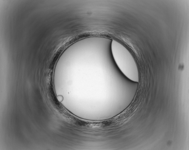 X0000099930495200805231002