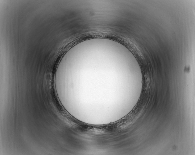 X0000099930498200805231002