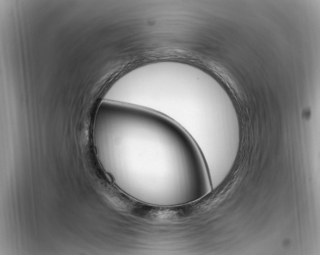 X0000099930501200805231002