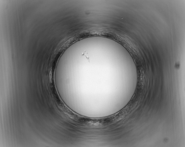 X0000099930502200805231002