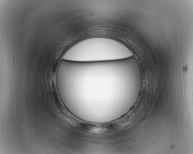 X0000099930504200805231002
