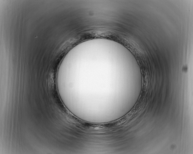 X0000099930506200805231002