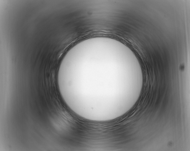 X0000099930508200805231002