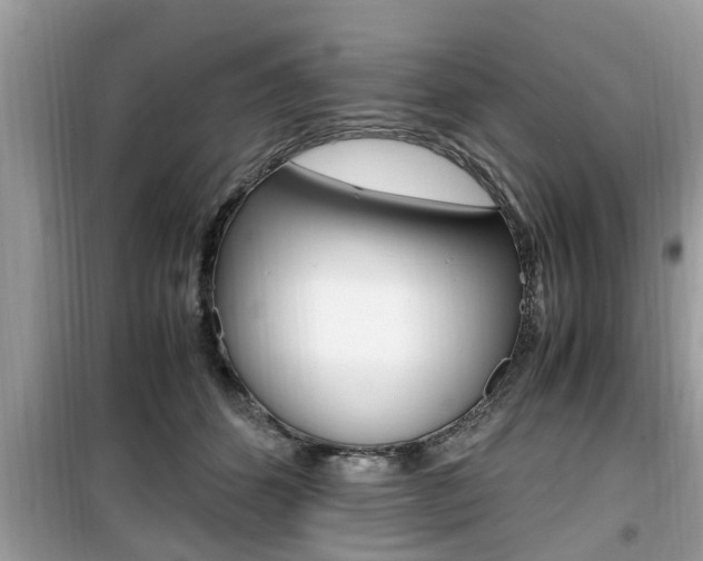 X0000099930512200805231002
