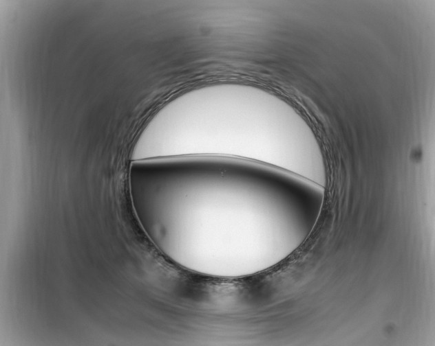 X0000099930513200805231002