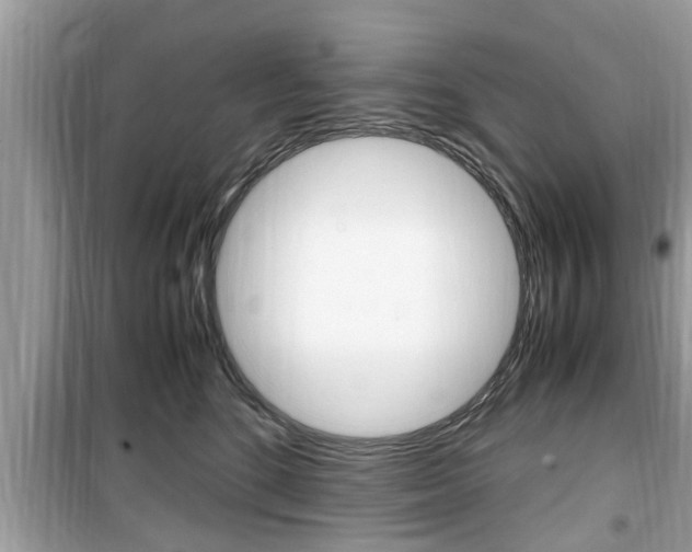 X0000099930520200805231002