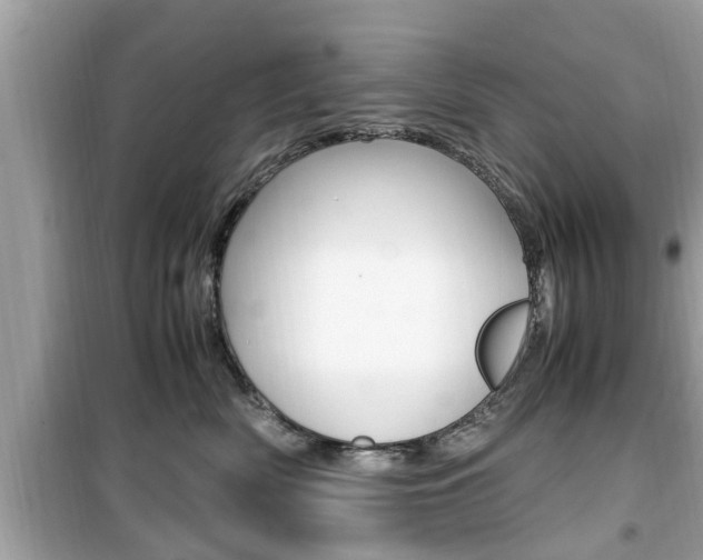 X0000099930522200805231002
