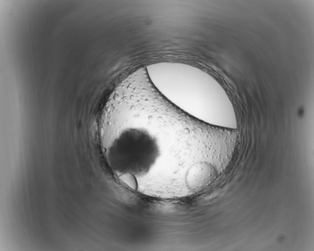 X0000099930523200805231002