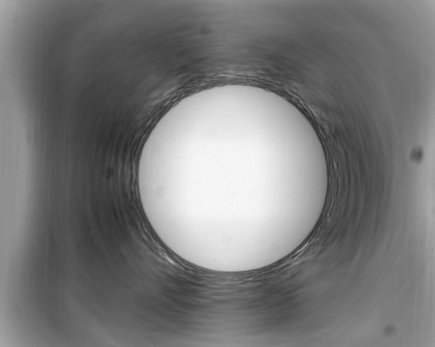 X0000099930528200805231002