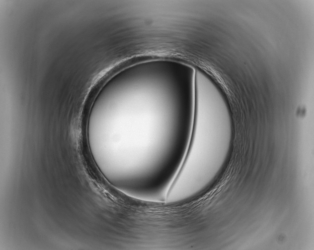 X0000099930532200805231001