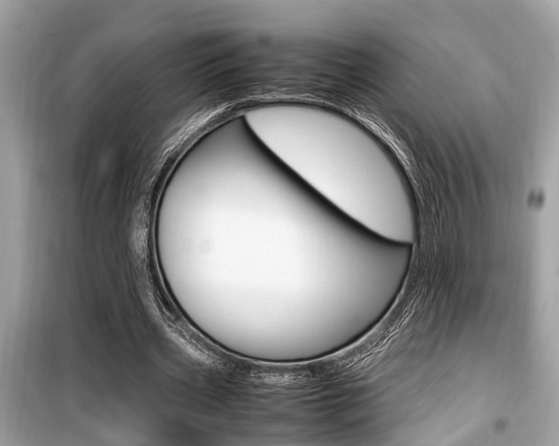 X0000099930533200805231001