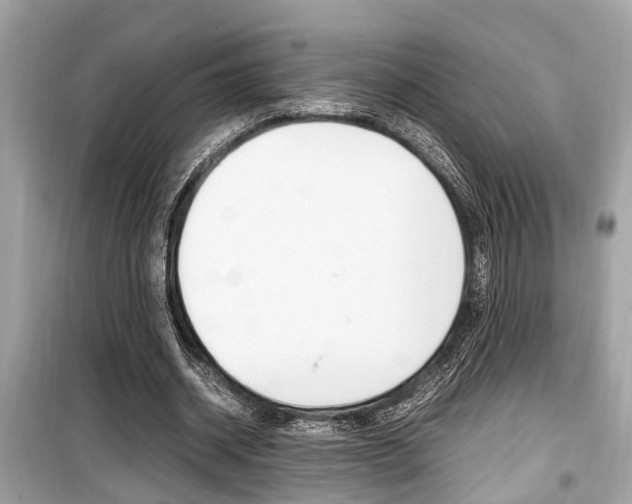 X0000099930534200805231001