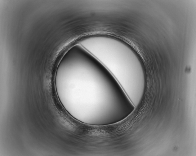 X0000099930535200805231001