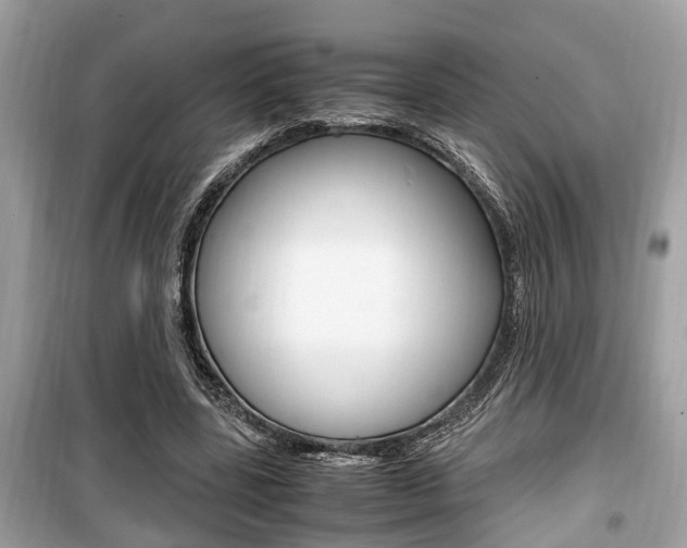 X0000099930539200805231001