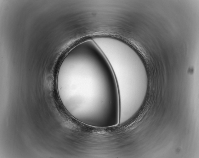 X0000099930540200805231001