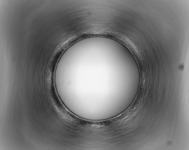 X0000099930542200805231001
