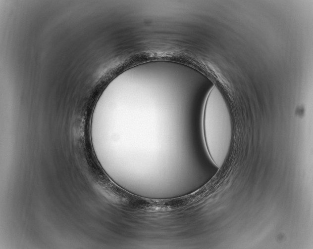 X0000099930543200805231001