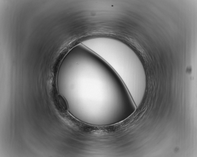 X0000099930544200805231001