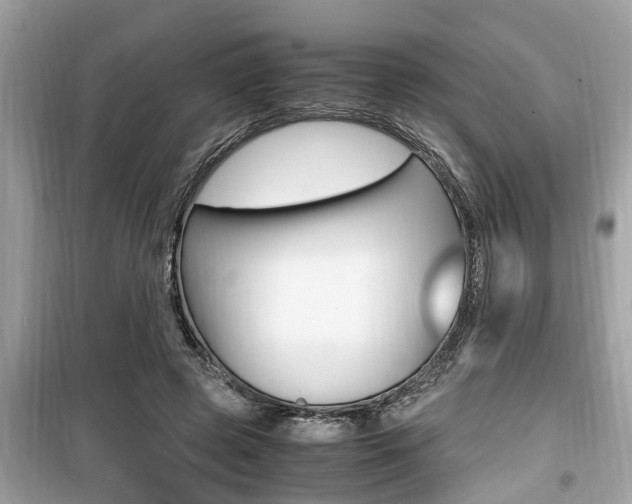X0000099930545200805231001