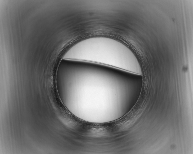 X0000099930547200805231001