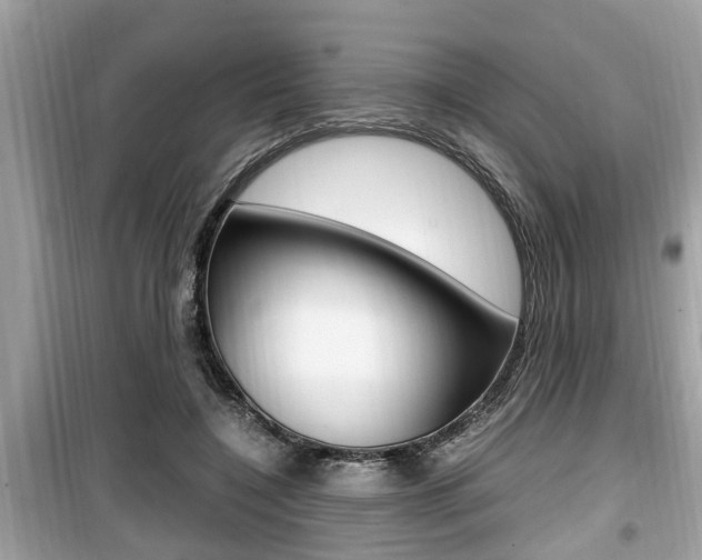 X0000099930548200805231001
