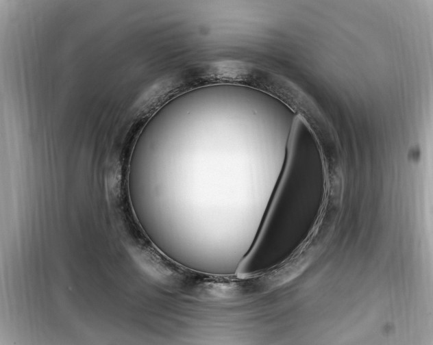 X0000099930552200805231002