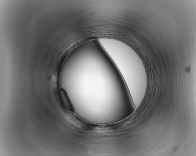 X0000099930556200805231002