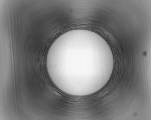 X0000099930558200805231002