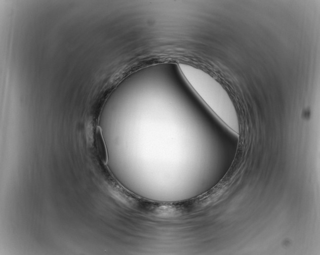 X0000099930562200805231002
