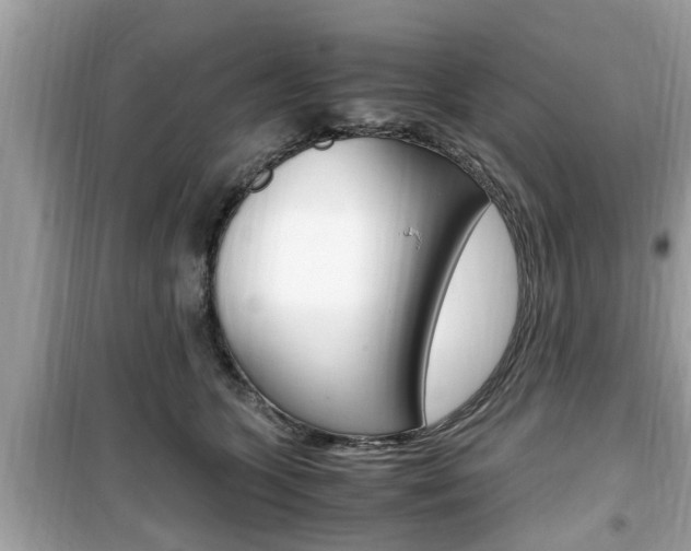 X0000099930563200805231002