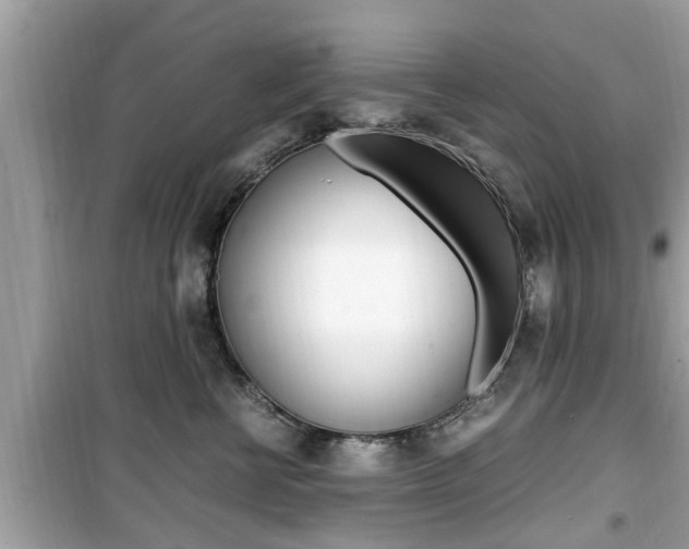 X0000099930570200805231002