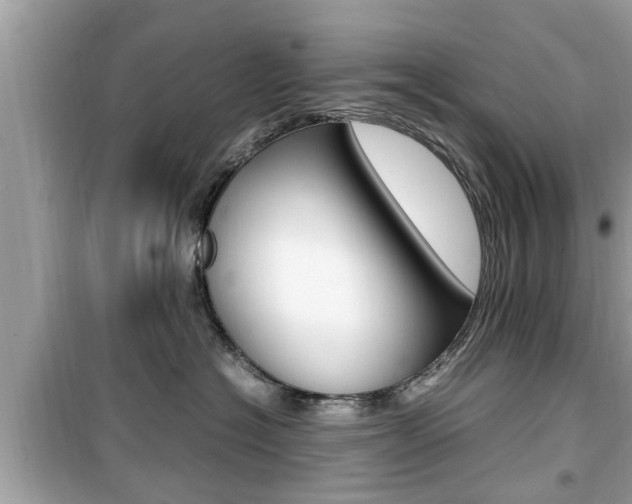 X0000099930574200805231002