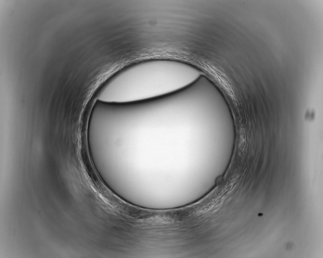 X0000099930578200805231001