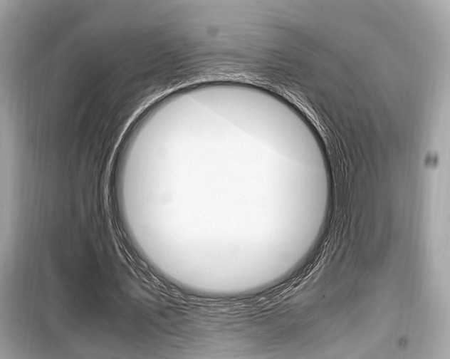 X0000099930579200805231001