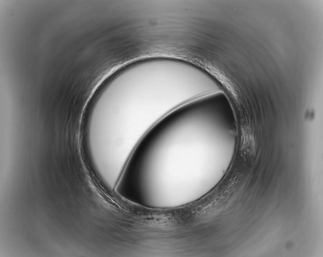 X0000099930580200805231001