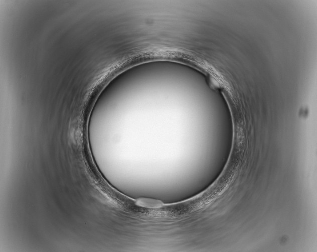 X0000099930581200805231001