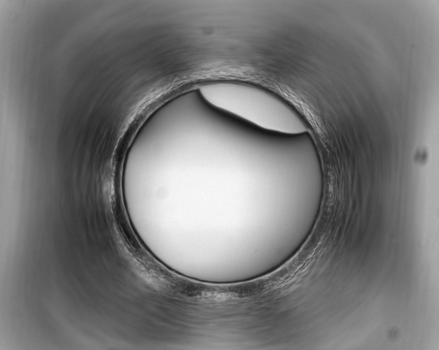 X0000099930582200805231001