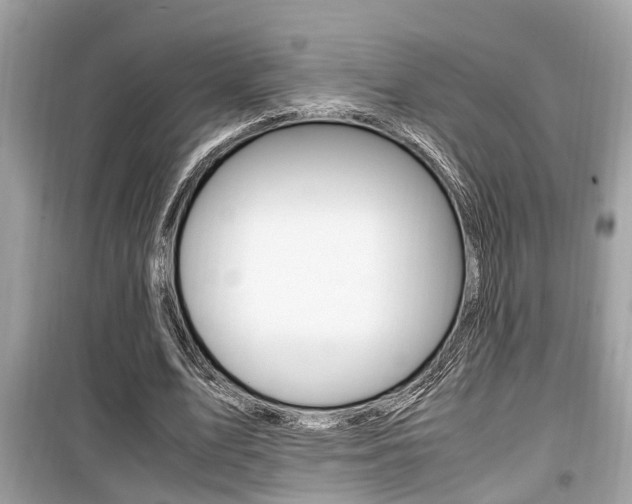 X0000099930583200805231001