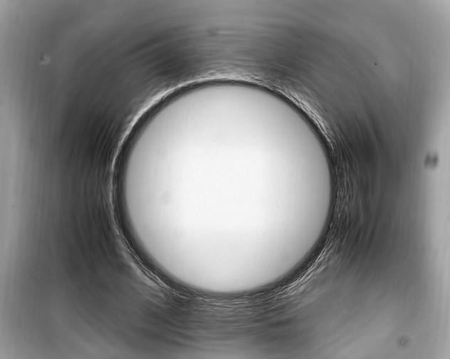 X0000099930584200805231001