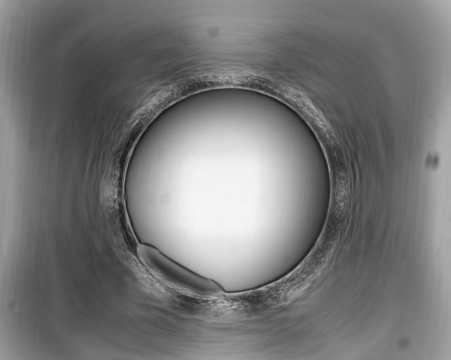 X0000099930585200805231001