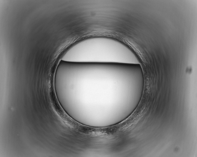 X0000099930586200805231001