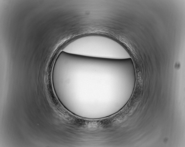 X0000099930587200805231001