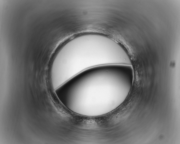 X0000099930588200805231001