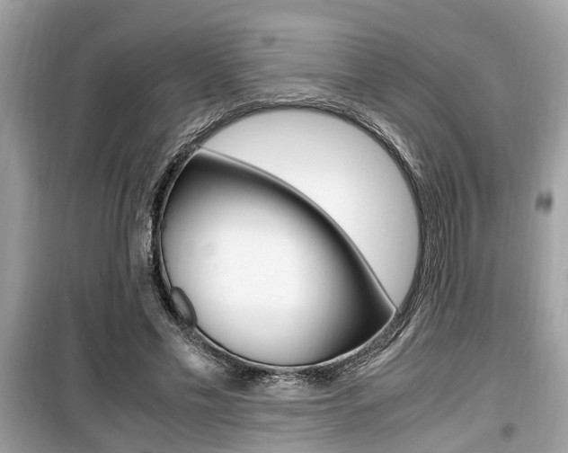 X0000099930589200805231001