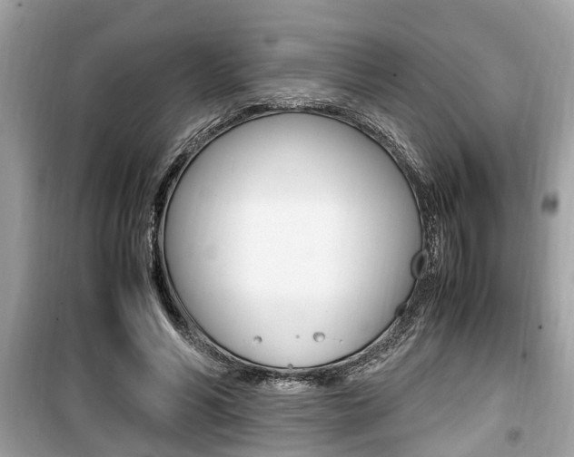 X0000099930590200805231001