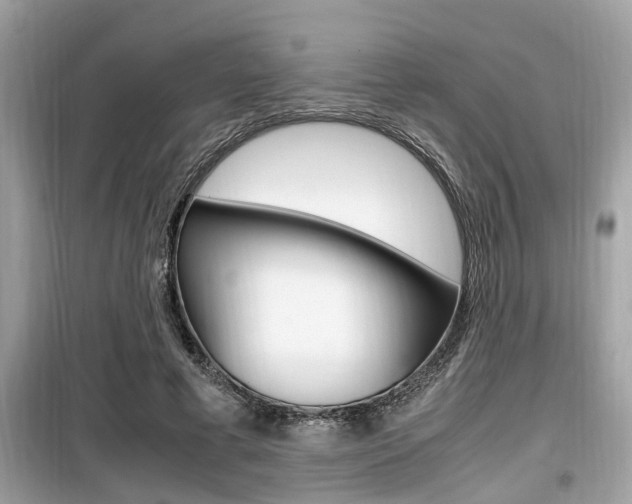 X0000099930593200805231001