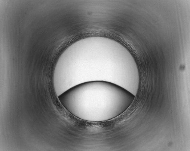 X0000099930594200805231001